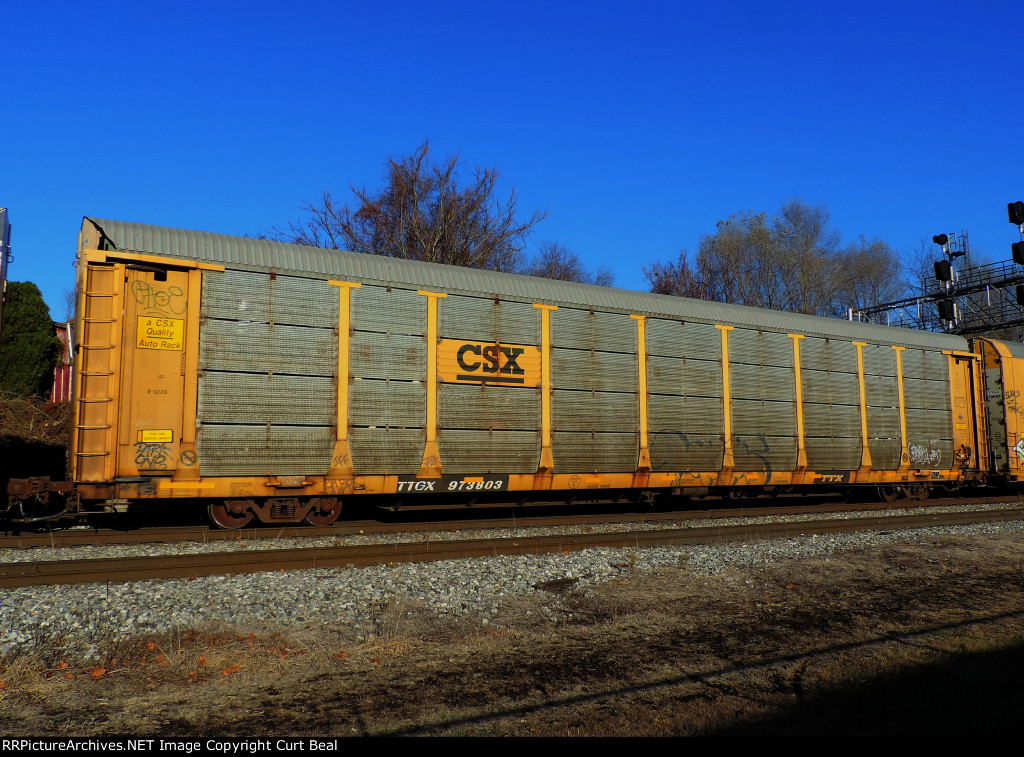 TTGX 973803 - CSXT B3228